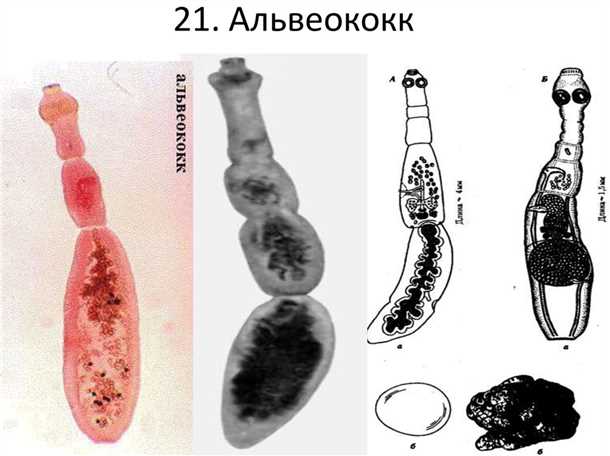 3. Употребление безопасной воды и пищи