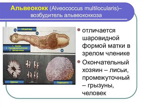 2. Контакт с окружающей средой
