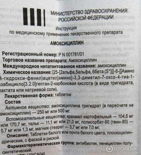 3. Кишечные инфекции: