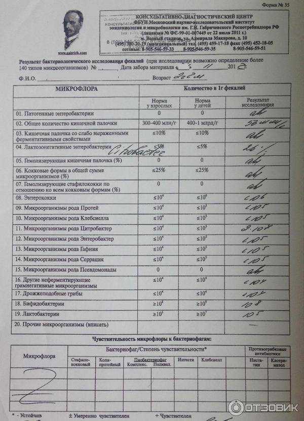 Анализ кала на дисбактериоз: подготовка и расшифровка анализа