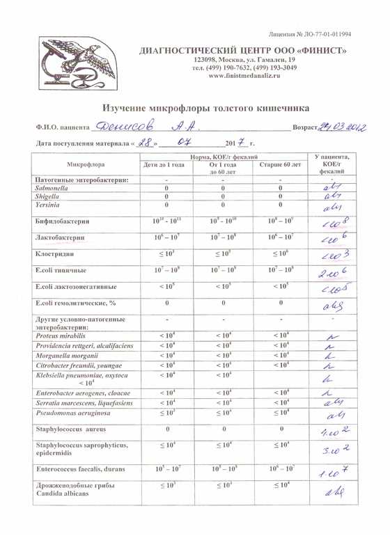Интерпретация результатов анализа кала на дизбактериоз
