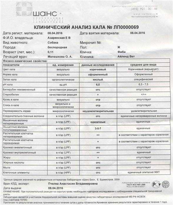 Подготовка к сдаче анализа кала на копрологию