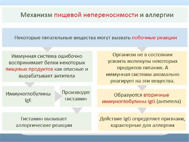2. Какие продукты можно проверить с помощью анализа крови на непереносимость?