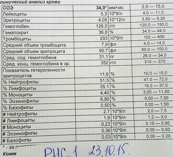 3. Питание, богатое витаминами и минералами