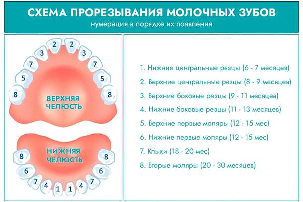 2. Принятие противовоспалительных препаратов