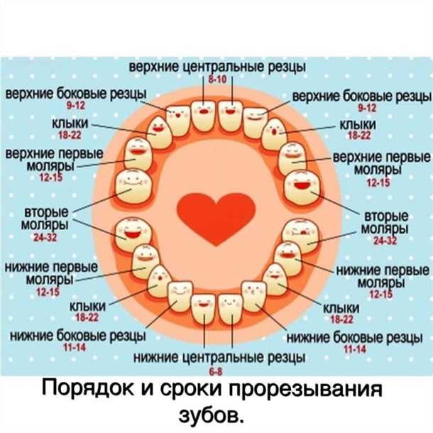 Анализ крови при прорезывании зубов