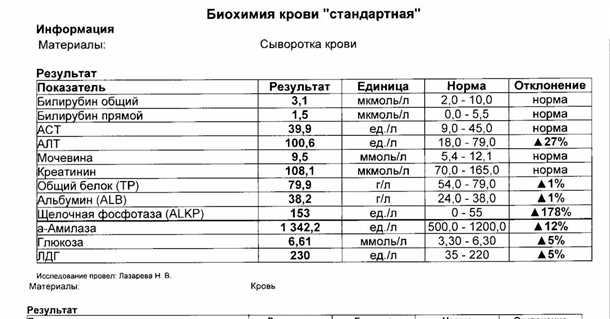 Значение билирубина