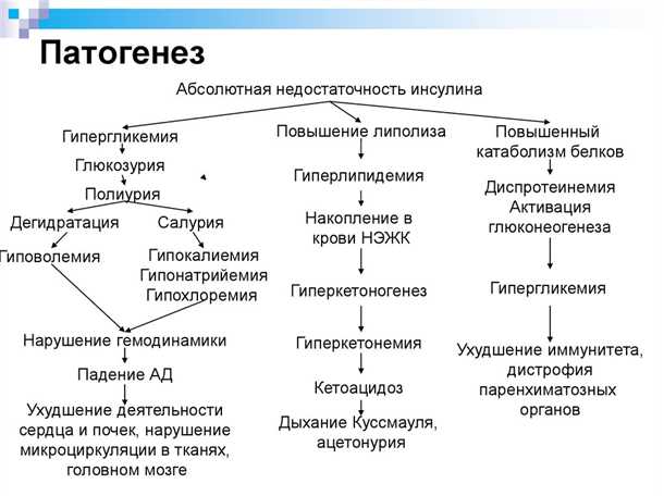Определение и историческая справка
