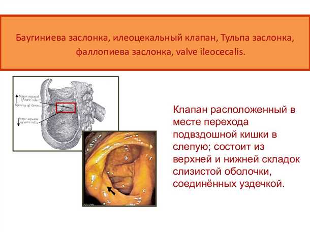2. Избегайте переохлаждения