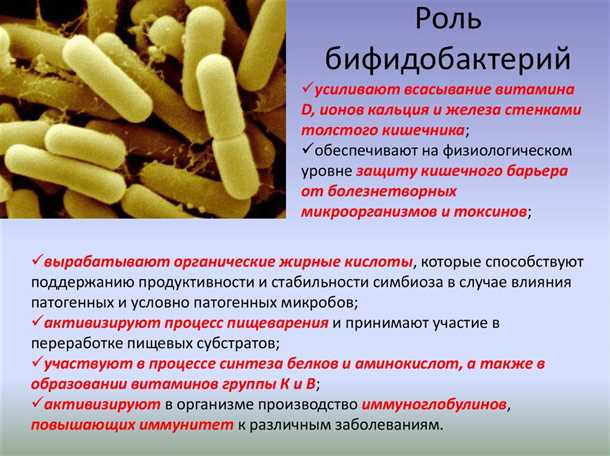 Примеры детских продуктов, содержащих бифидобактерии и лактобактерии: