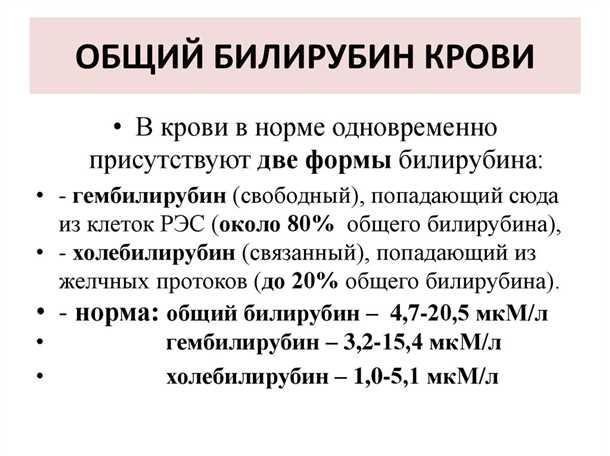 Процесс образования билирубина