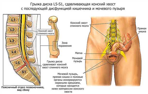 Регулярные упражнения и физическая активность