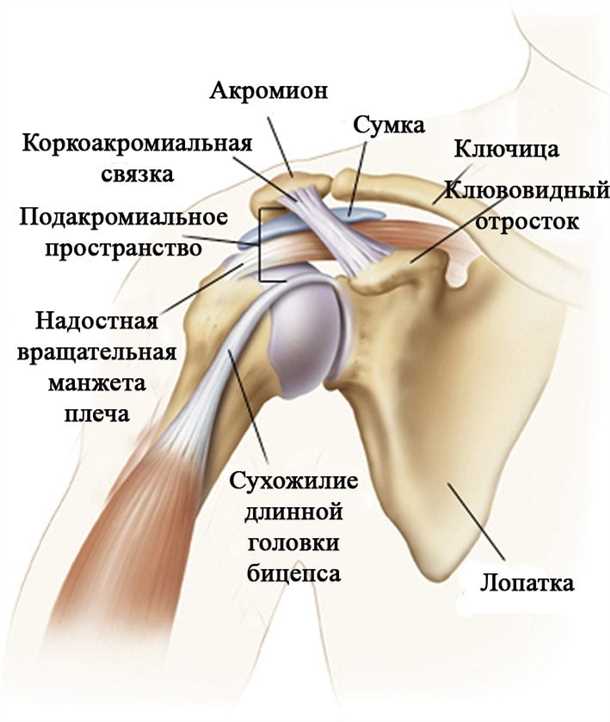 Психологическая поддержка