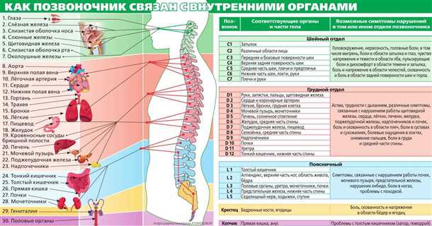 Процедуры и профессиональные методы