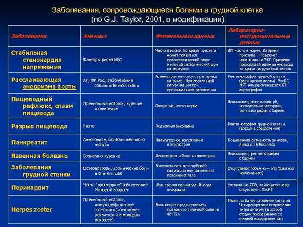 Анатомическое понимание и роль мышц и сухожилий