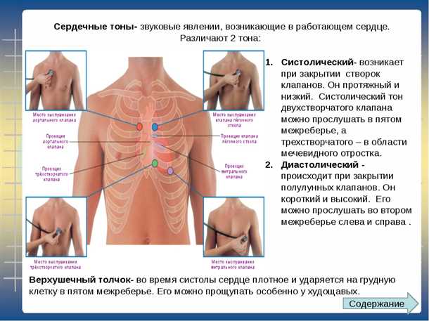 Введение