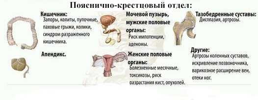 Гинекологические проблемы и болезни в области таза: обзор и рекомендации 