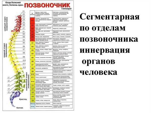 Анамнез и первичный осмотр