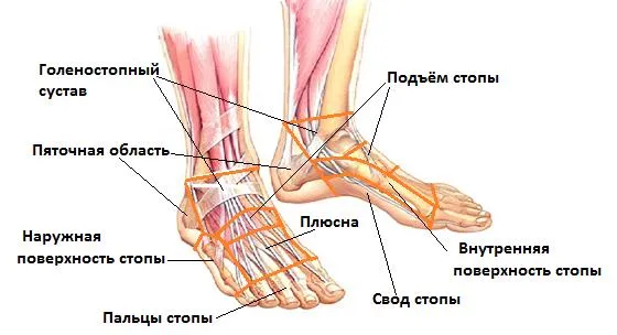 Телесные сигналы о проблемах организма