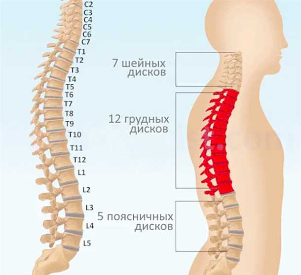 Источники дискомфорта в области шейного отдела
