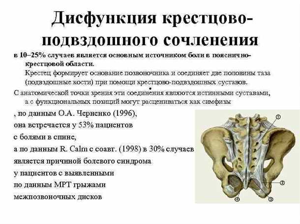 Дифференциальная диагностика различных причин болевых ощущений в области тазовых костей и крестца