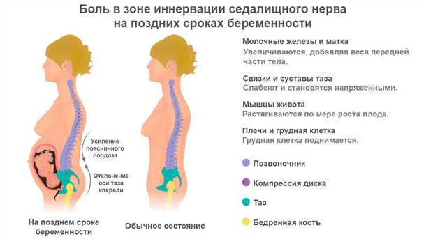 Влияние растущего плода на здоровье будущей матери