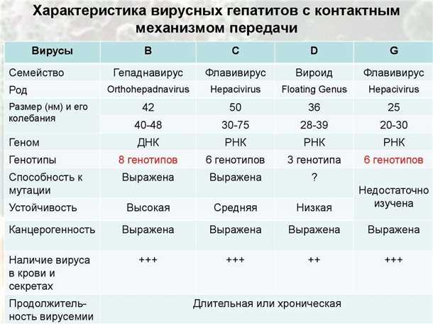 Гепатит С: