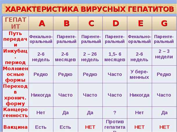 Профилактика гепатита В и гепатита С