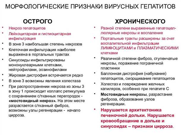 Способы передачи гепатита В и гепатита С