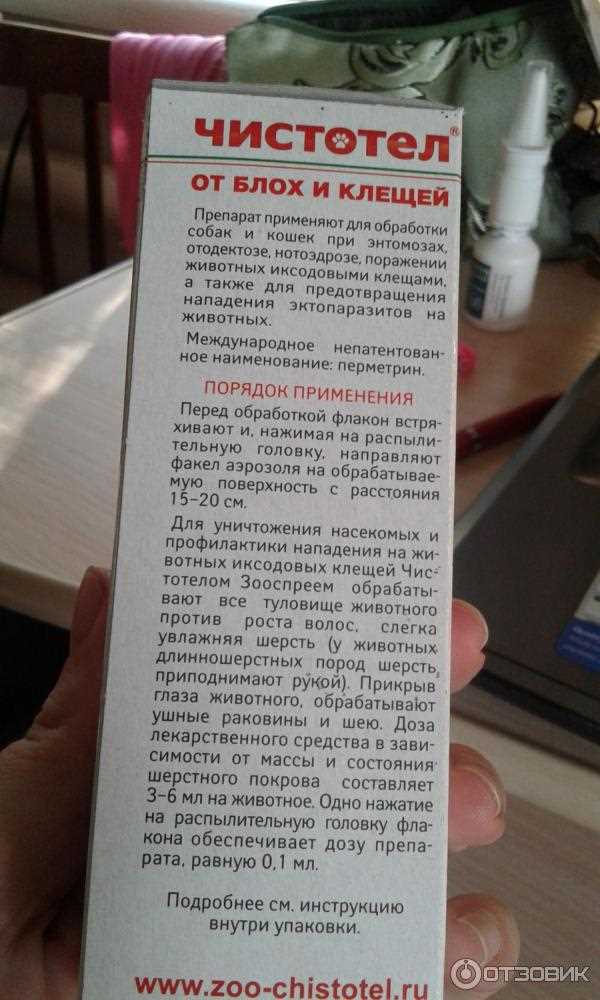 Где купить чистотел и как правильно выбрать