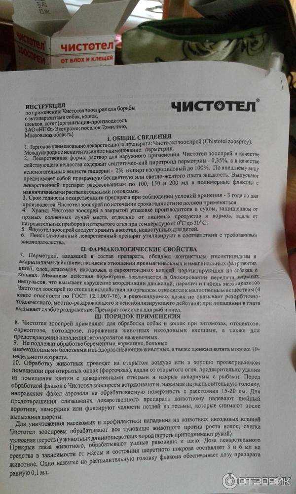 Способы приготовления чистотелового напитка
