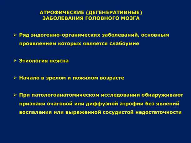 Роль активности мозга в повседневной жизни