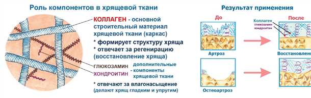Диагностика дегенерации ДДХТ