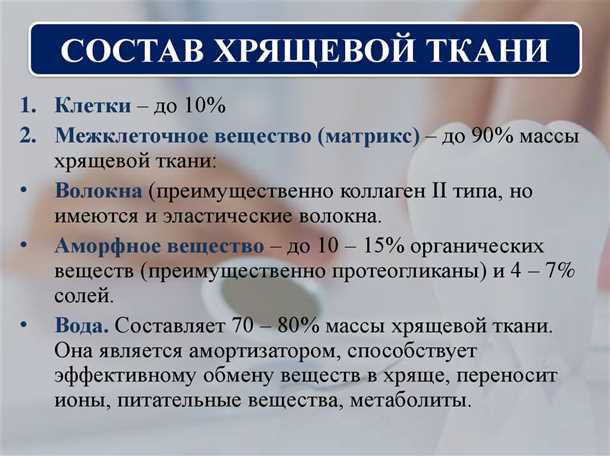 Лечение и профилактика дегенерации диаметровой хрящевой ткани