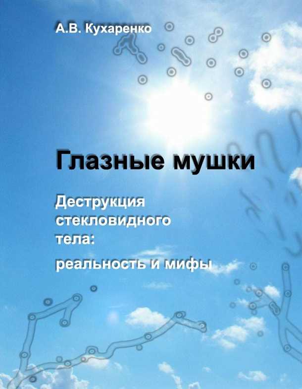 1. Мушки перед глазами