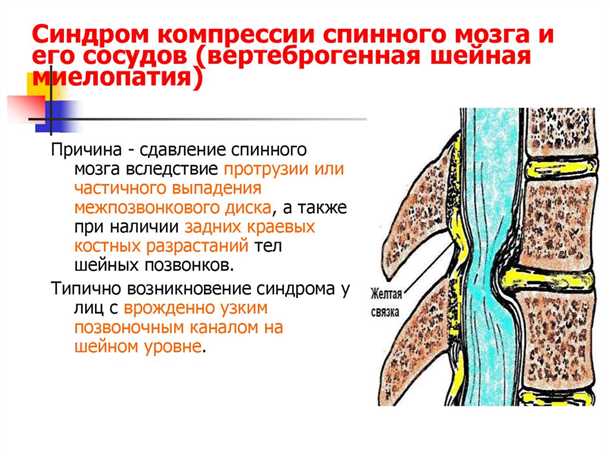 Основные черты состояния