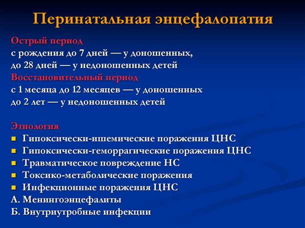 Правильное питание и укрепление иммунной системы