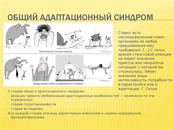 Семейная поддержка и стабильность