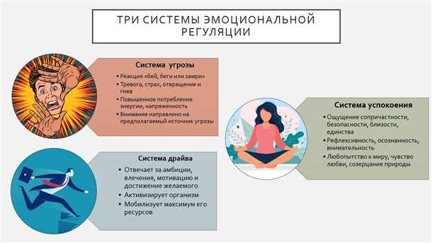Детский синдром нарушений эмоциональной регуляции.
