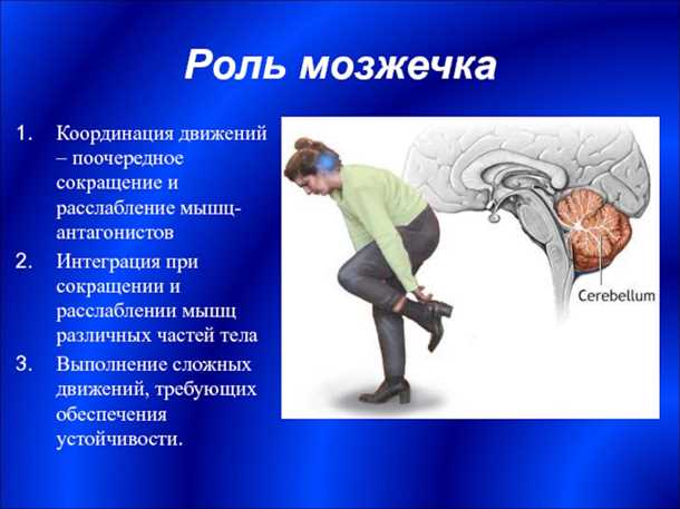 Статистика и данные