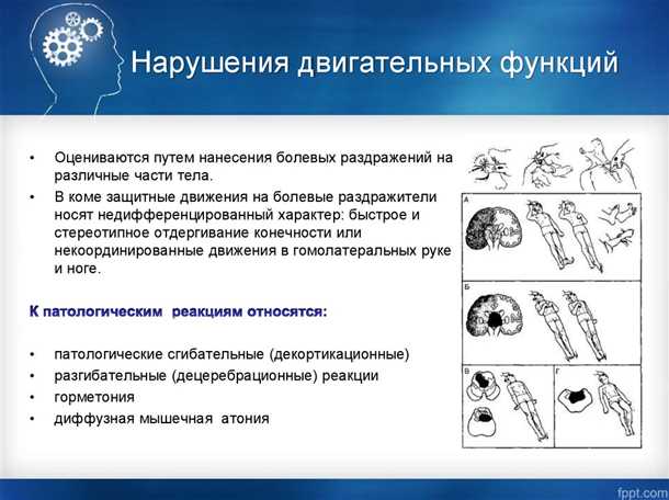 Что такое особенности развития у детей с возможными нарушениями гармоничной двигательной активности?