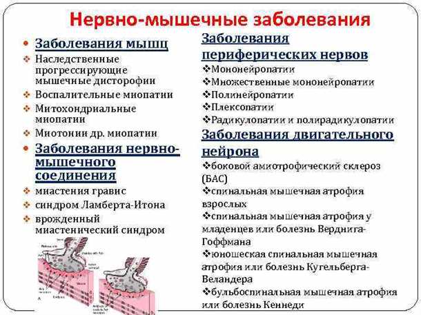 Детский синдром нарушений нервно-мышечного взаимодействия.