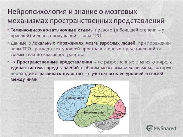 Методы коррекции расстройств пространственного восприятия у детей