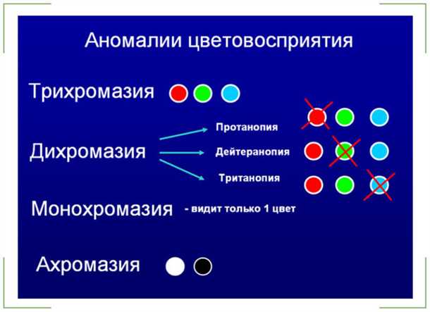 Введение