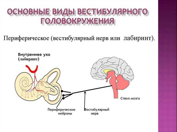  Концентрация и внимание 