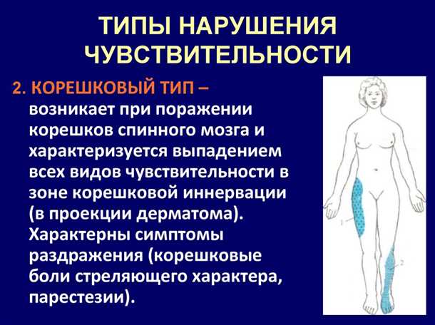 3. Гибкость в организации учебного процесса