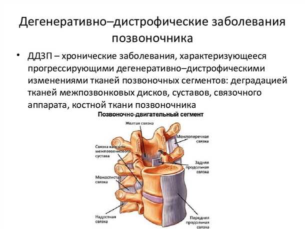 Принцип работы УЗ-допплерографии
