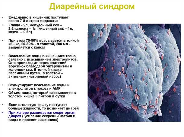 Симптомы диарейного синдрома