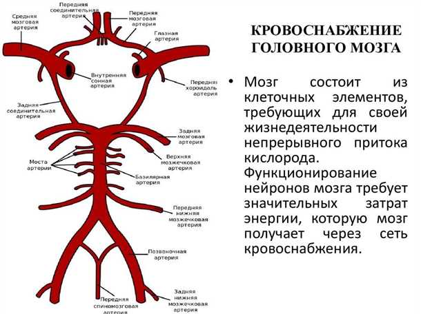 Травматические повреждения
