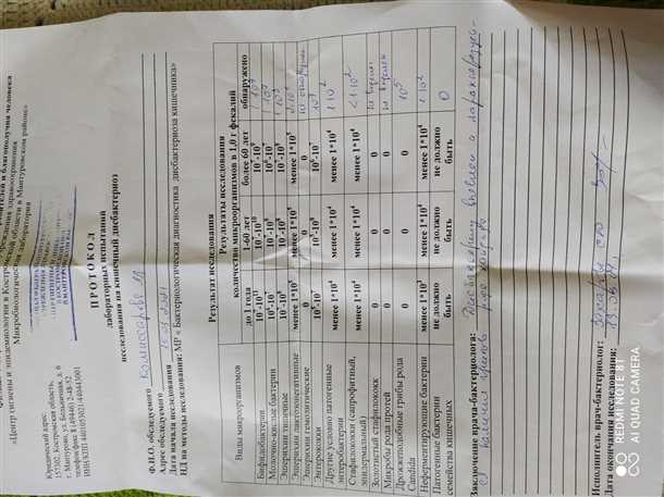 Причины появления дрожжевых грибов в кале у взрослого